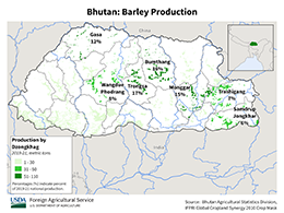 images\BT\cropprod\Bhutan_Barley_preview.png